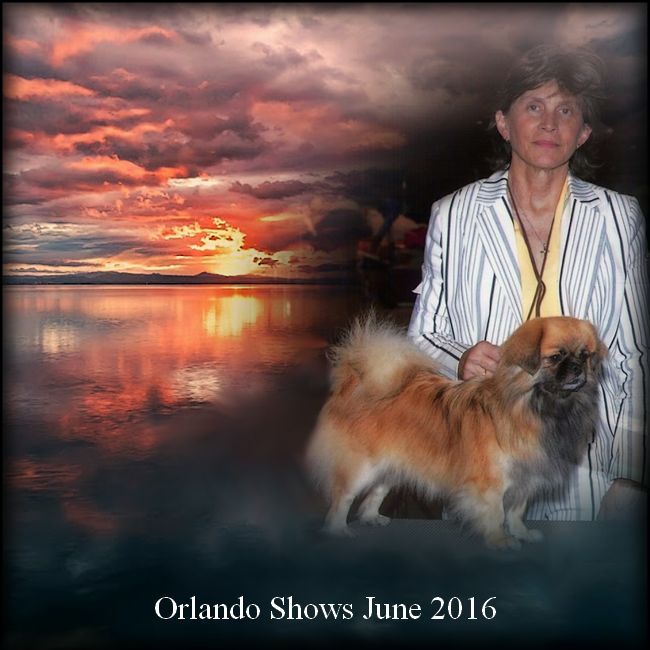 of lollipop - Florida June Shows 2016