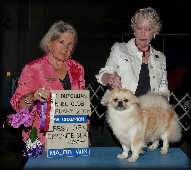 of lollipop - Our 28th New Homebreed Americain Champion