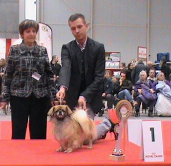 of lollipop - Group 1 for Whoopie at International Show Niort 2011 