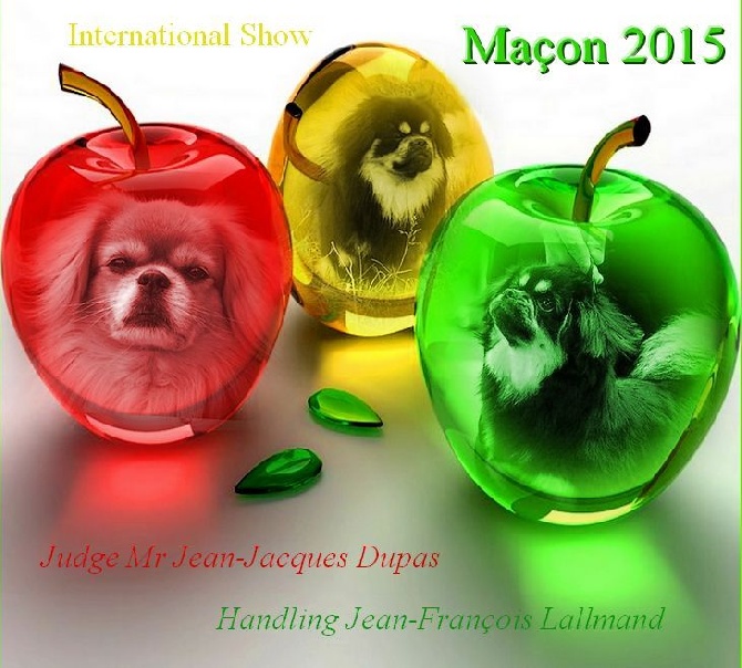 of lollipop - International Dog Show Maçon 2015