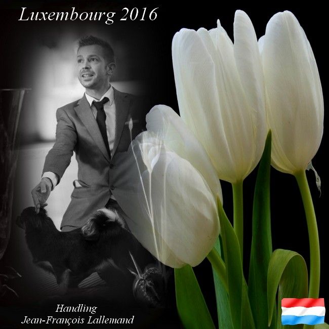 of lollipop - International Show Luxembourg 2016