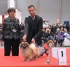  - Group 1 for Whoopie at International Show Niort 2011 