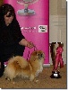  - Final of the Eukanuba Swiss Top Dog 2010