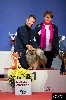  - National & Special Tibetain Breed Show Saturday Metz 2017