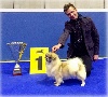  - Spring 2013 Luxembourg Dog Show