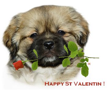 of lollipop - Happy Valentines Day to All !