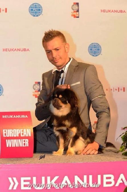 of lollipop - European Dog Show Brno 2014 - CZ