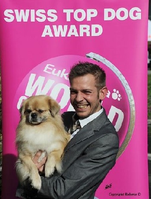 of lollipop - Eukanuba Swiss Top Dog 2012 Final