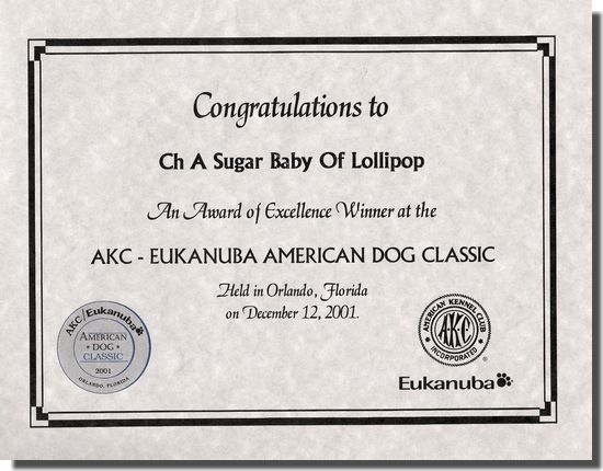 CH. A sugar baby of lollipop