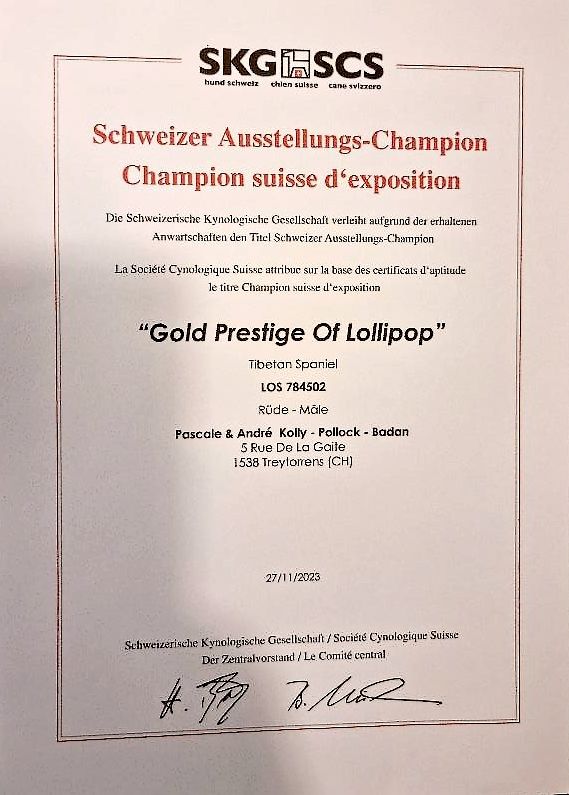 CH. Gold prestige of lollipop