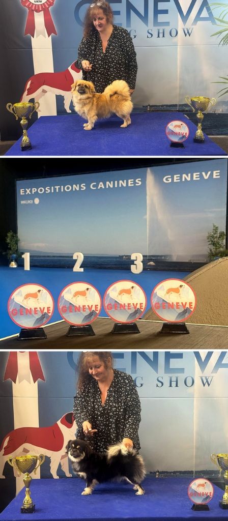 of lollipop - Welcome to Geneva International Show 5th October 2025
